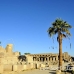temple_karnak_lux_h_0092_egy1448.jpg